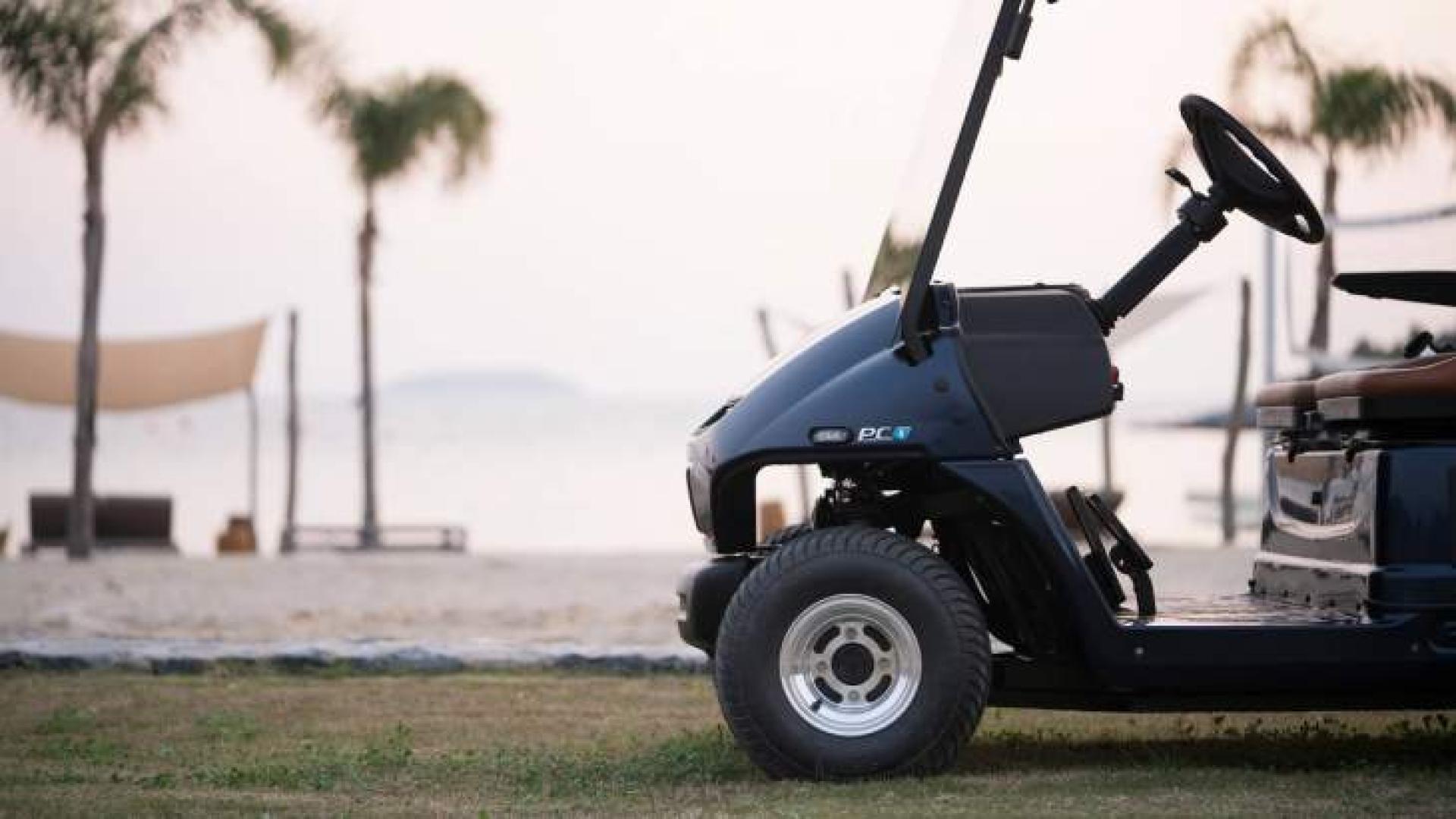 A New Era in Electric Golf Cart Experience: Pilotcar