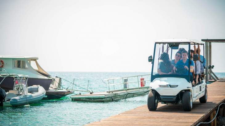 Tasarım Harikası Golf Araçları