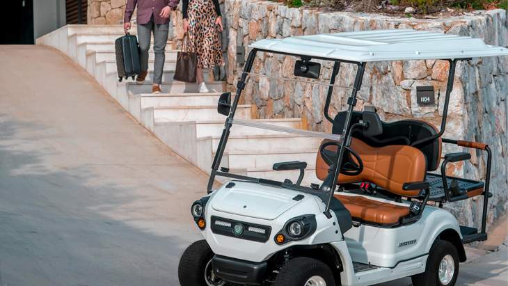 Understanding Golf Carts: Essential for Modern Mobility
