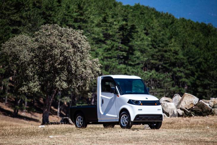 Was ist ein Elektrotransporter und wie funktioniert er?